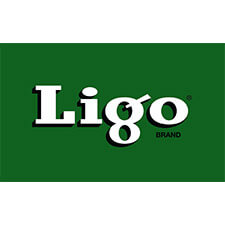 _0031_Tempo_0009_Ligo Logo copy